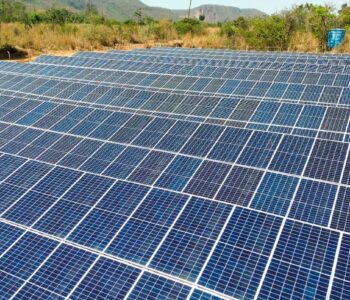 Aviva conquista certificação de Empresa Carbono Neutro pelo segundo ano consecutivo