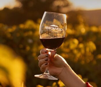 Vinho de Morro do Chapéu conquista medalha de prata em concurso internacional mais importante da AL