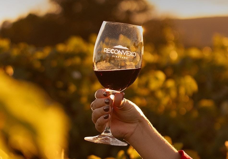 No momento você está vendo Vinho de Morro do Chapéu conquista medalha de prata em concurso internacional mais importante da AL