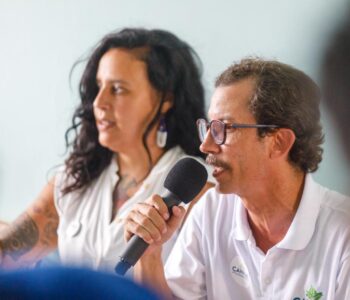 Cultivo de cannabis para medicamentos e pesquisa científica no Brasil é um avanço