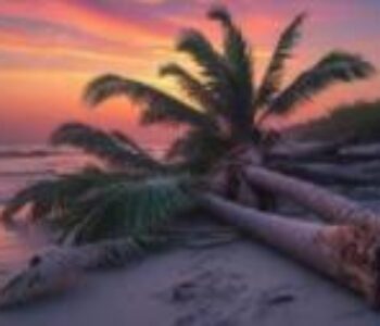 PÉS, OLHOS E O ANDARILHO GOLPISTA