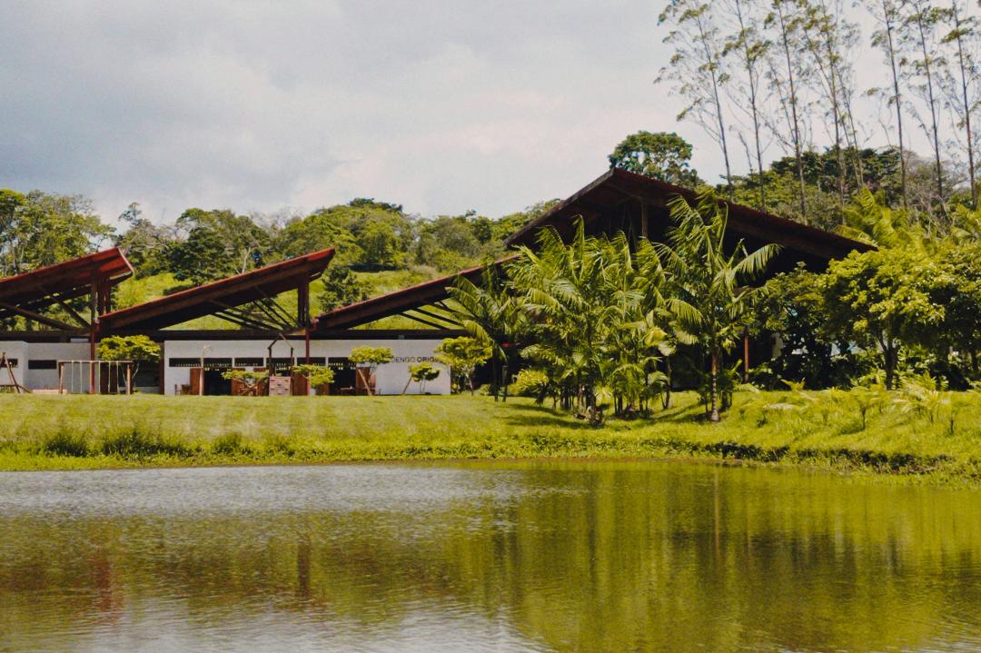 No momento você está vendo Dengo Origem abre o espaço ao público com evento cultural e visitação gratuita à cabruca