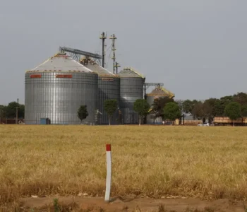 Brasil tem sexto maior crescimento no ranking das economias do G20