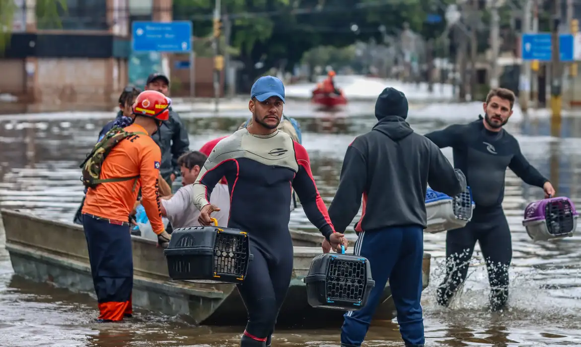 No momento você está vendo Lei cria Política de Acolhimento para animais resgatados em desastres
