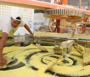 Seagri realiza seminário para fortalecer cadeia produtiva da mandioca na Bahia