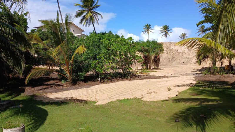 No momento você está vendo Denúncia: intervenção irregular expõe fragilidade ambiental em Barra do Jacuípe