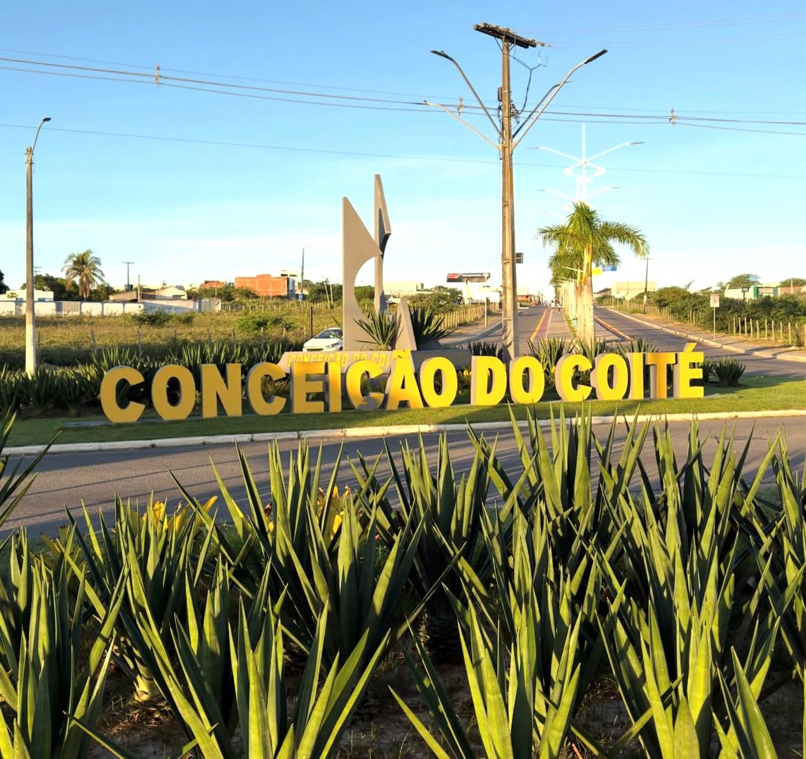No momento você está vendo Coité Folia 2026 terá grandes atrações, transmissão ao vivo e expectativa de mais de 300 mil foliões