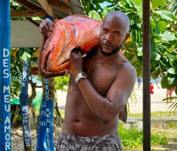 Comerciante de Praia Grande comemora mudança de atividade e aumento de renda com acordo do VLT