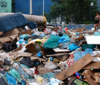 Estudo quer mostrar potencial de aproveitamento de resíduos no país