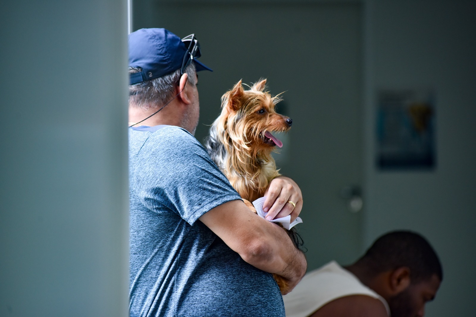 No momento você está vendo Hospital Público Veterinário de Salvador reforça que abandono de animais é crime