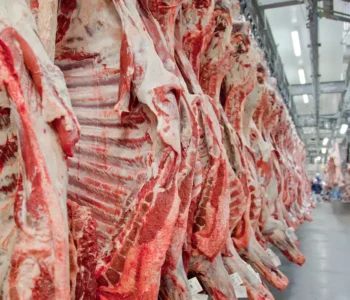 Governo promete reverter veto da UE a carnes e animais brasileiros