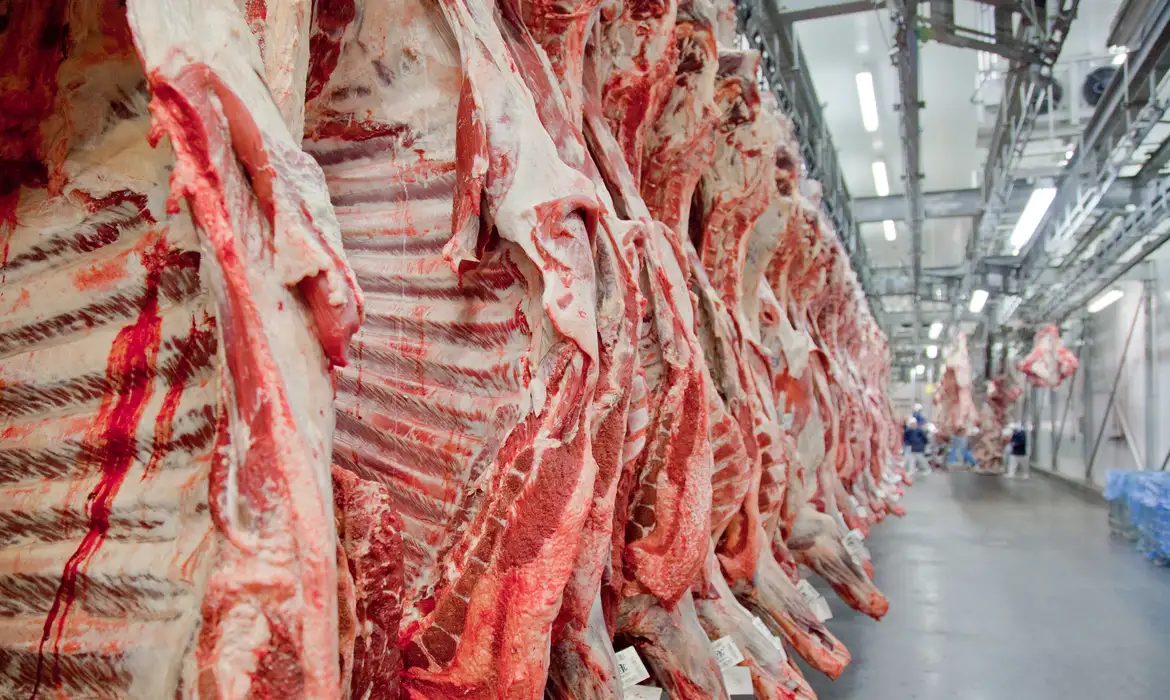 No momento você está vendo Governo promete reverter veto da UE a carnes e animais brasileiros