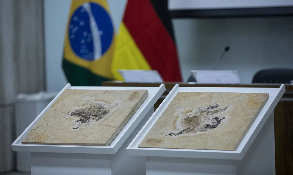 No momento você está vendo Brasil quer recuperar dinossauros e patrimônios que estão em 14 países