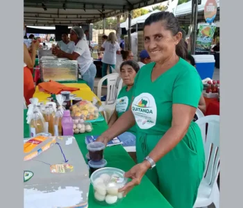 Agricultores familiares aumentam renda em 30% com programa federal 