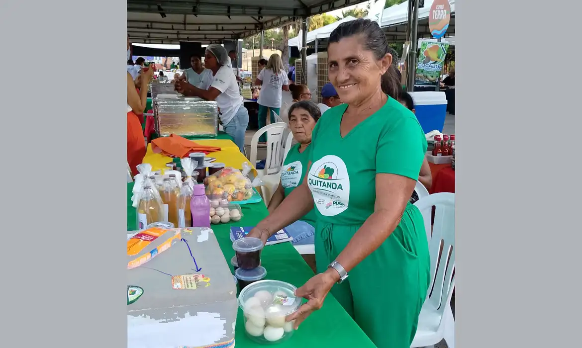 No momento você está vendo Agricultores familiares aumentam renda em 30% com programa federal 