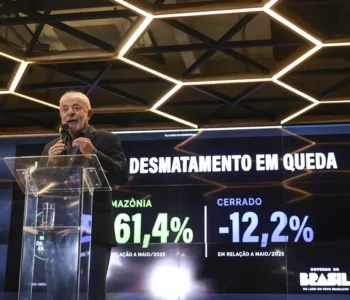 Desmatamento na Amazônia cai 61,4% em maio de 2026