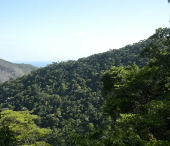 Plano mobiliza R$ 500 bi para financiamento sustentável no Brasil