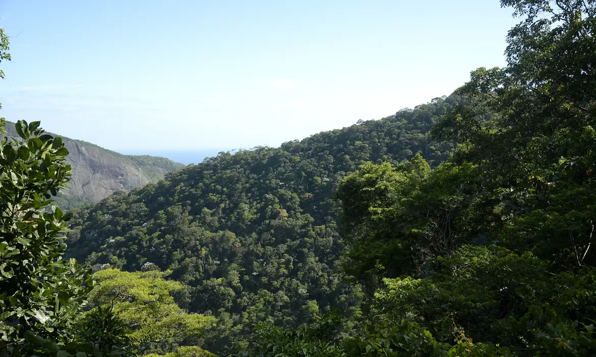 No momento você está vendo Plano mobiliza R$ 500 bi para financiamento sustentável no Brasil
