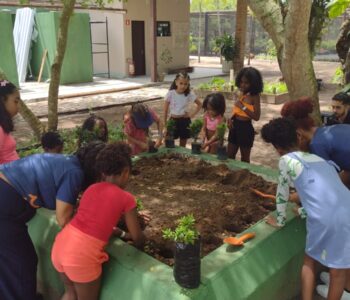 Em Itaparica, estudantes transformam visitas escolares em experiências científicas