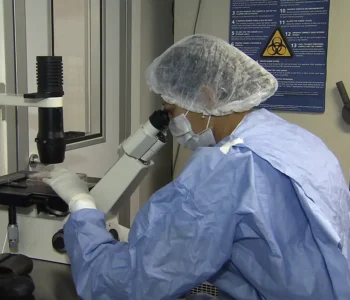 Como cientistas “curaram” infectados com HIV