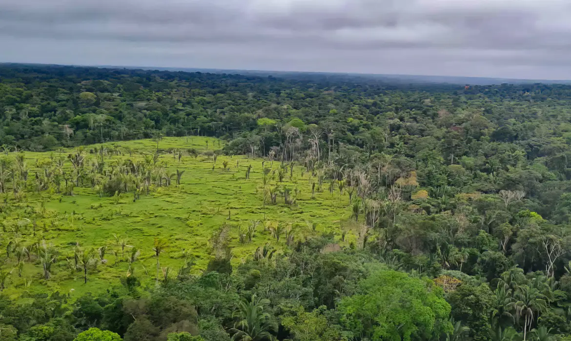 No momento você está vendo Imazon aponta desmatamento zero em 60% de terras indígenas na Amazônia