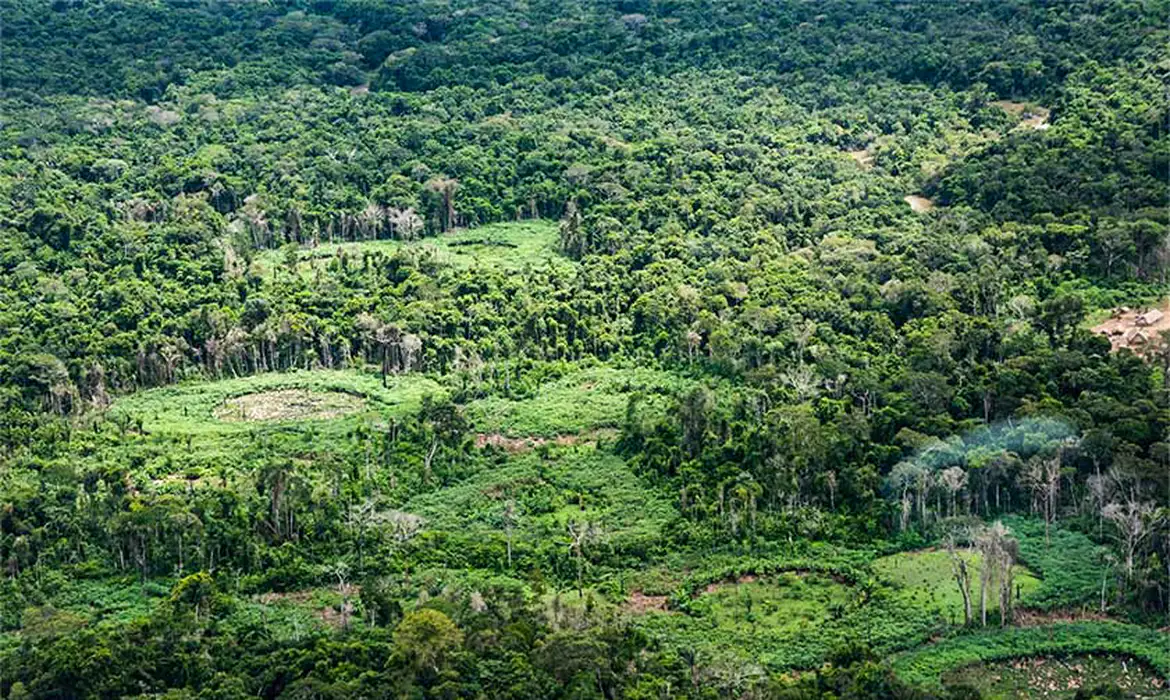 No momento você está vendo Amazônia: indígenas catalogam espécies para proteger biodiversidade
