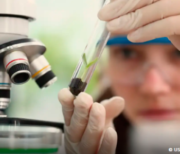 Prêmio para mulheres e meninas cientistas abre inscrições até outubro
