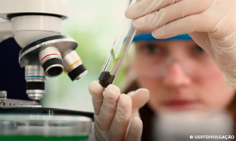 No momento você está vendo Prêmio para mulheres e meninas cientistas abre inscrições até outubro