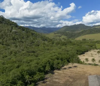 Agricultura avança 11 milhões de hectares em 41 anos na Mata Atlântica