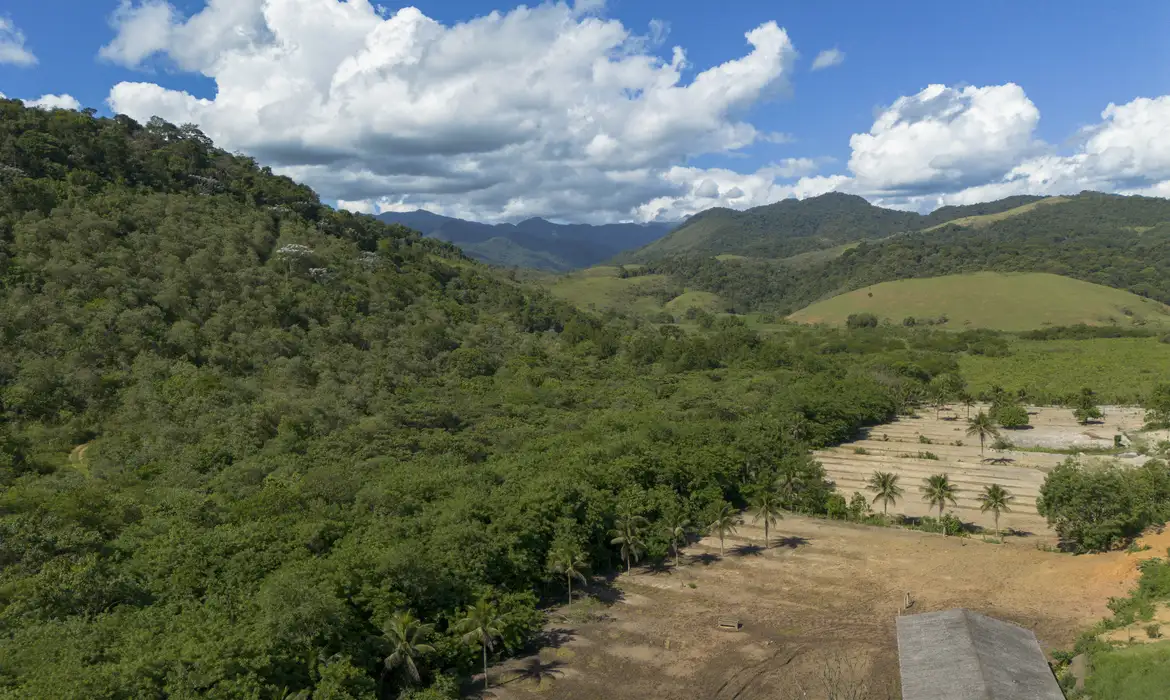 No momento você está vendo Agricultura avança 11 milhões de hectares em 41 anos na Mata Atlântica