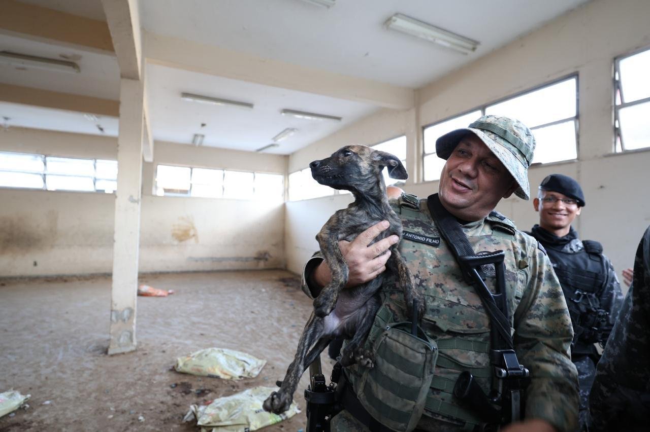 No momento você está vendo Cães da Brigada K9 são retirados de área ocupada e caso de maus-tratos chega ao MP-BA