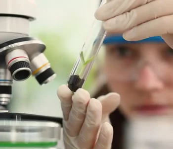 Imersão científica leva alunas e professoras a centros tecnológicos