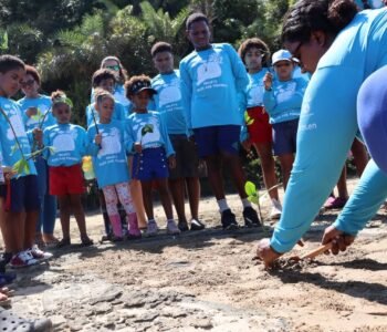 500 kg de resíduos são retirados e 350 mudas de mangue são plantadas na Ilha de Maria Guarda