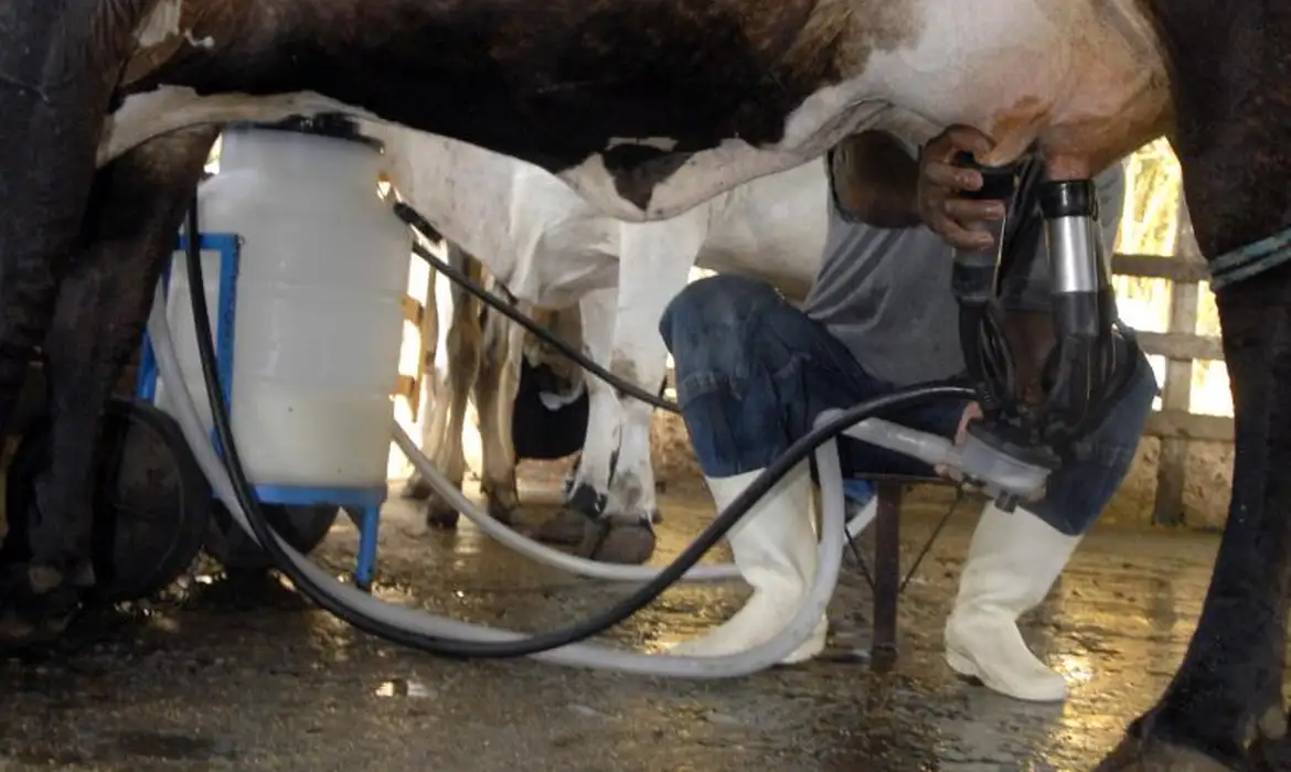 No momento você está vendo Produção de leite bate recorde mesmo com redução de vacas ordenhadas