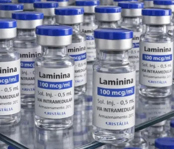 Testes clínicos fase 1 da polilaminina começam este mês