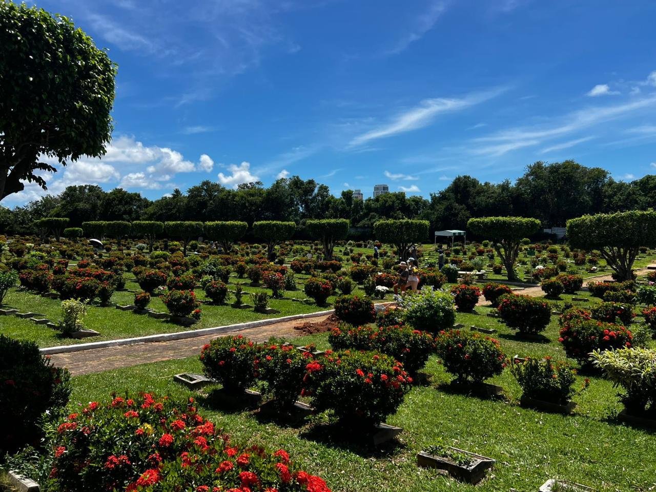 No momento você está vendo Dia de Finados no Cemitério Jardim da Saudade será marcado por chuva de pétalas de rosa e missa