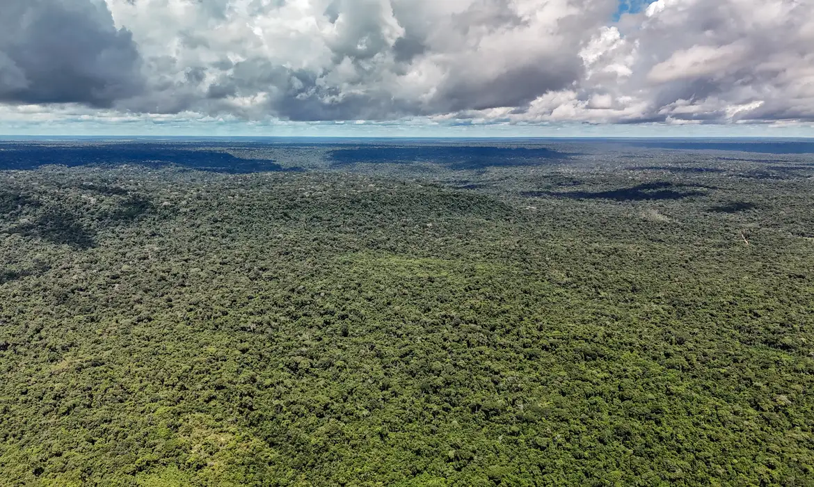 No momento você está vendo MapBiomas: Amazônia registra menor nível de desmatamento em 41 anos
